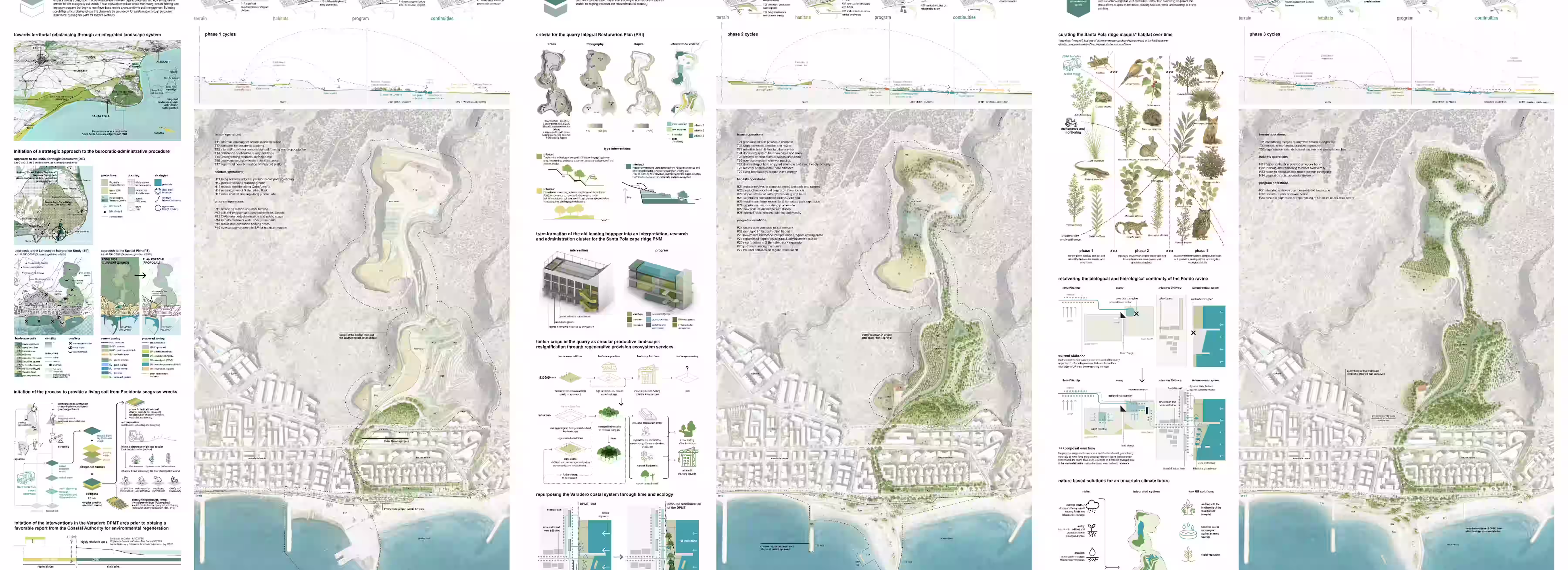 Proyecto Panarchy Cycles 3P4O